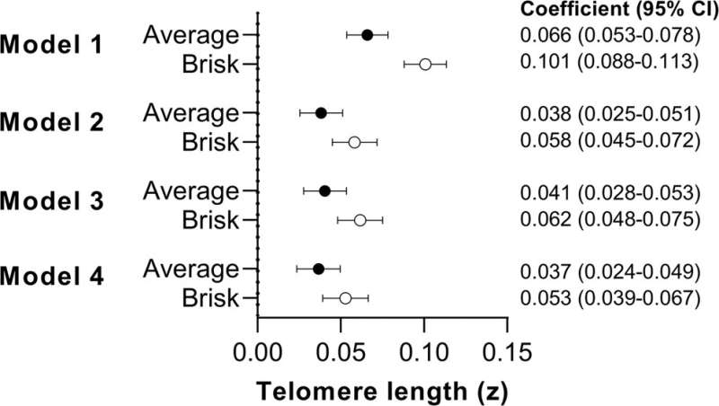 Stop the clocks: Brisk walking may slow biological aging process