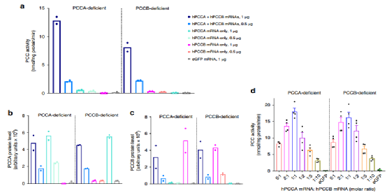 What technologies do nucleic acid drug companies such as Moderna use?