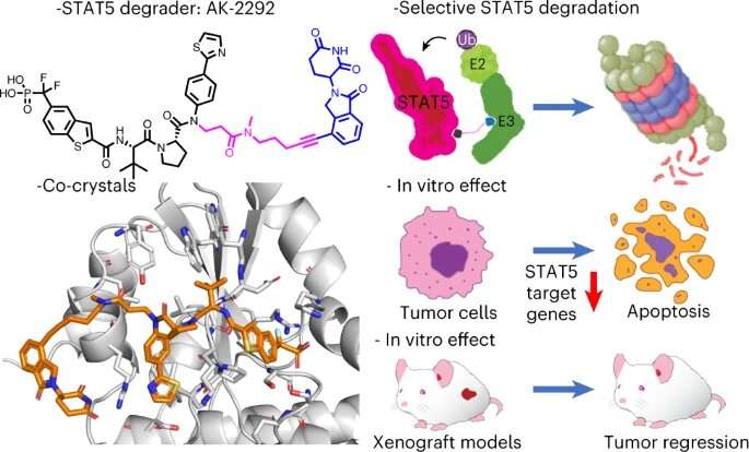 Researchers use a new approach to hit an undruggable target