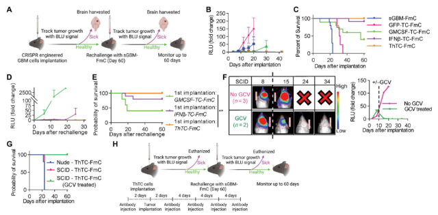 How to transform cancer cells into the cancer vaccine?