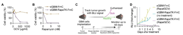 How to transform cancer cells into the cancer vaccine?