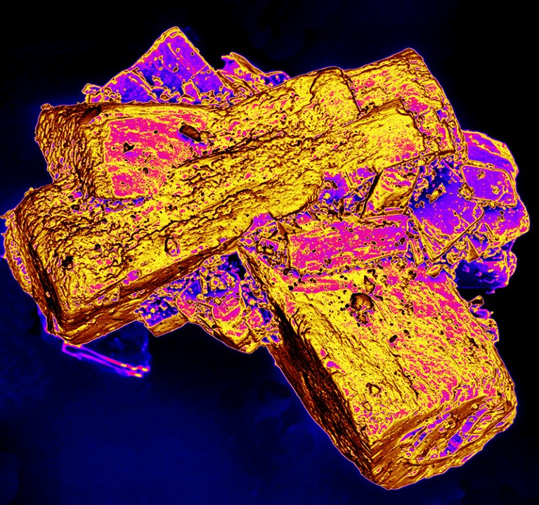 Oestradiol hormone crystal, SEM.