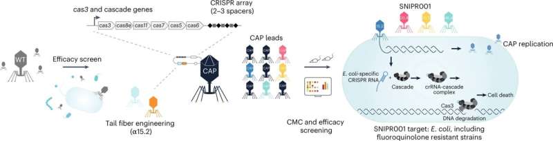 Scientists create the first CRISPR-based drug candidate targeting the microbiome