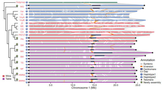 Nature Genetics _ �?494.png