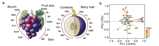 Nature Genetics _ �?907.png