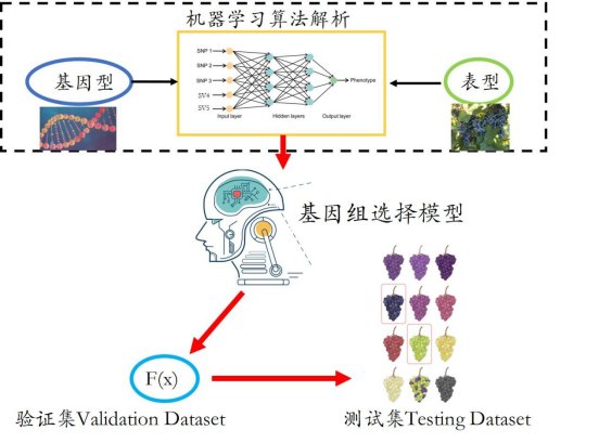 Nature Genetics _ �?361.png